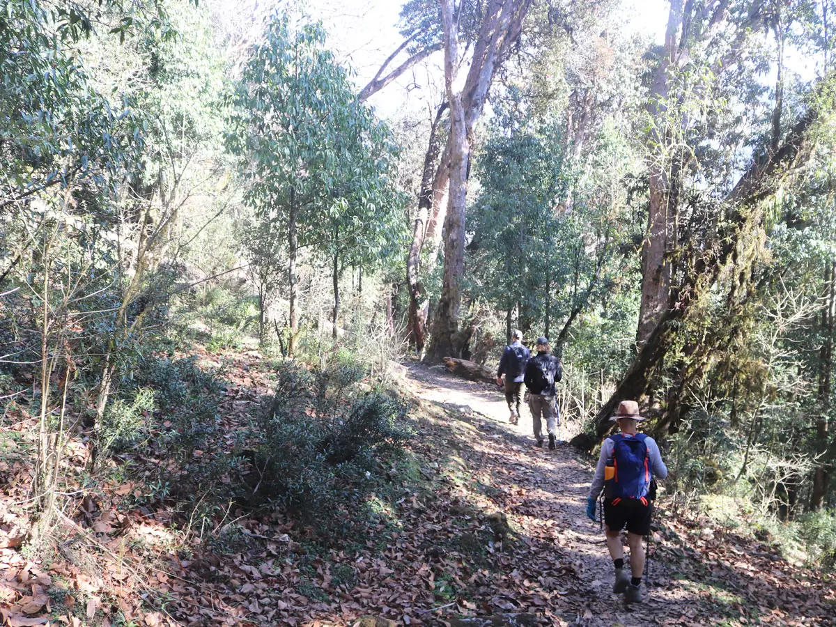 ABC Trail in April