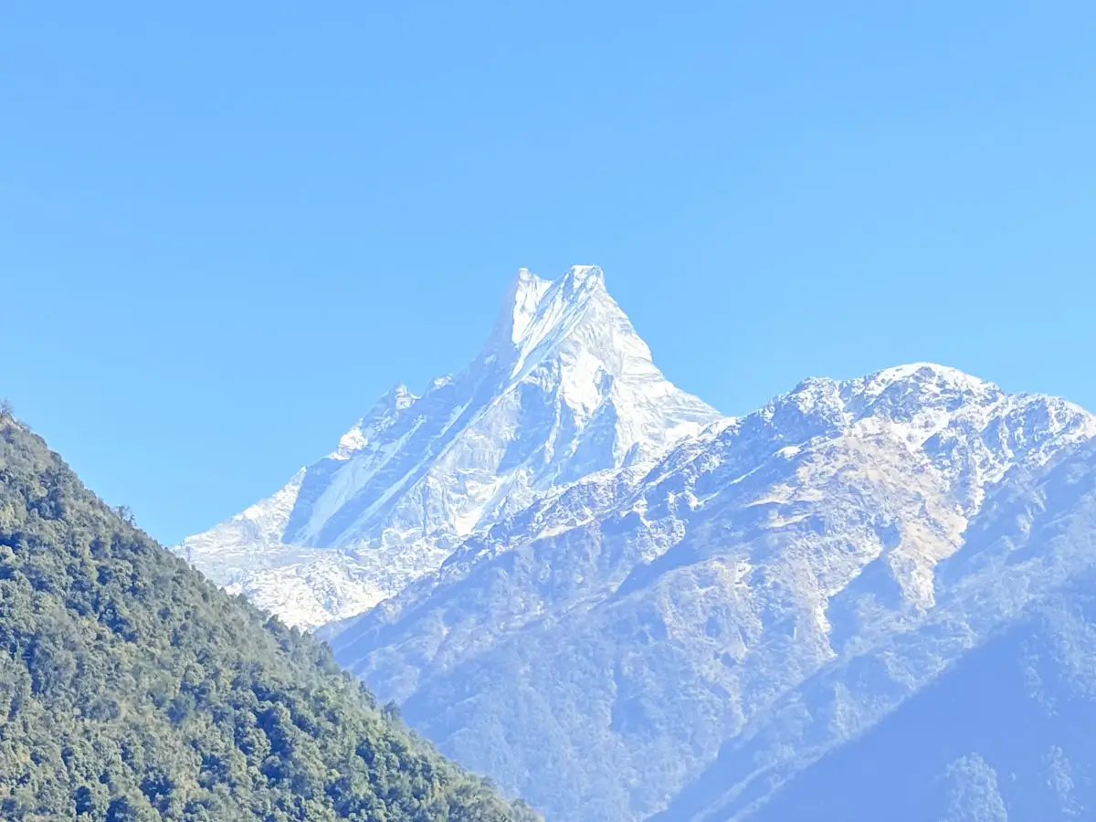 Fishtail View