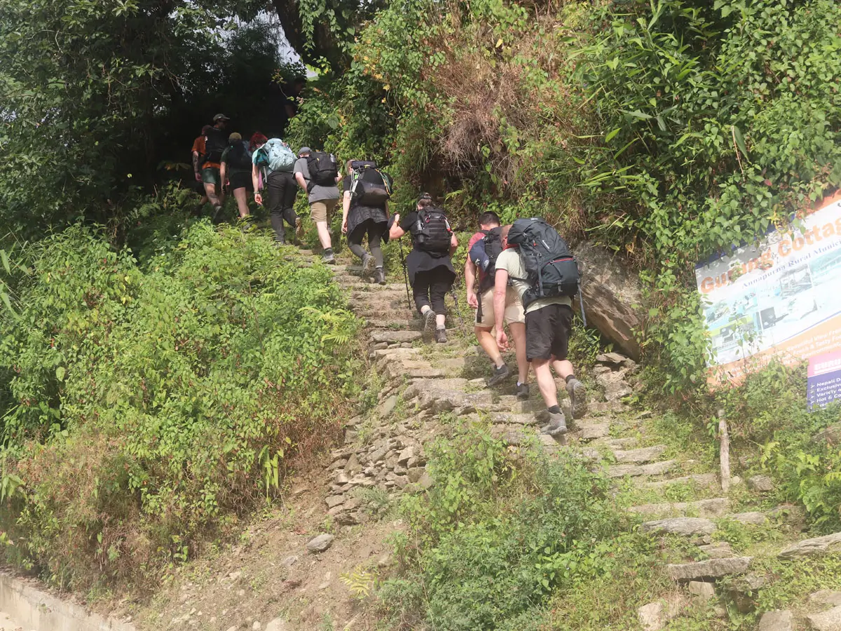 Our trekkers climbing the steps on ABC Trail