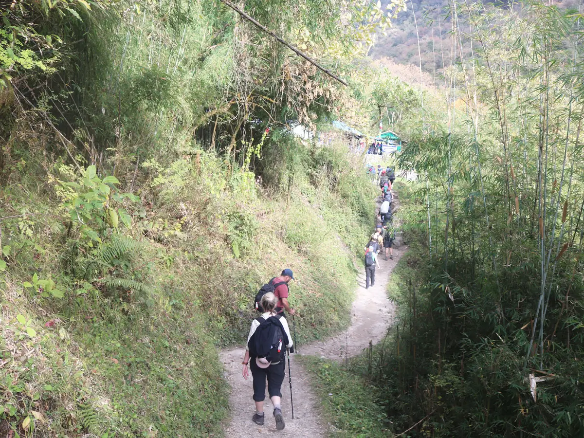 Walking towards ABC!