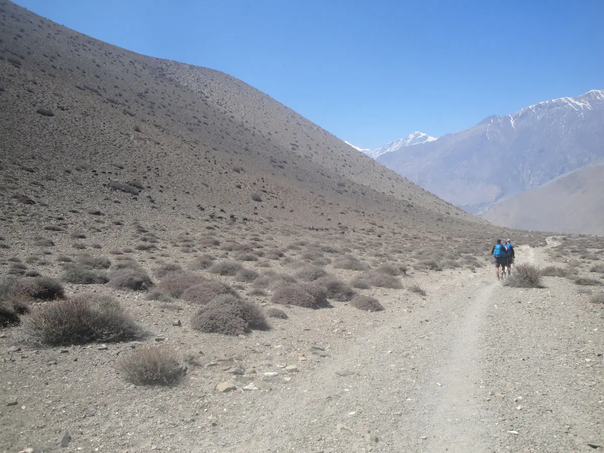 The Lower Mustang Valley