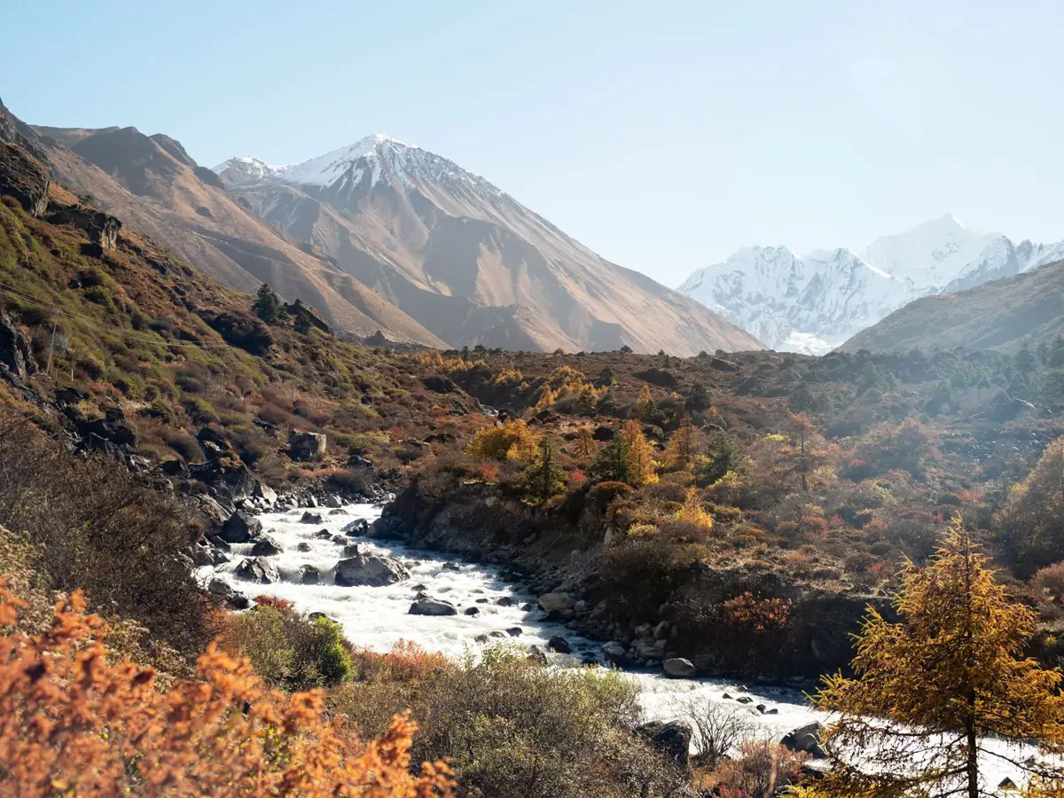 Landscape in Langtang