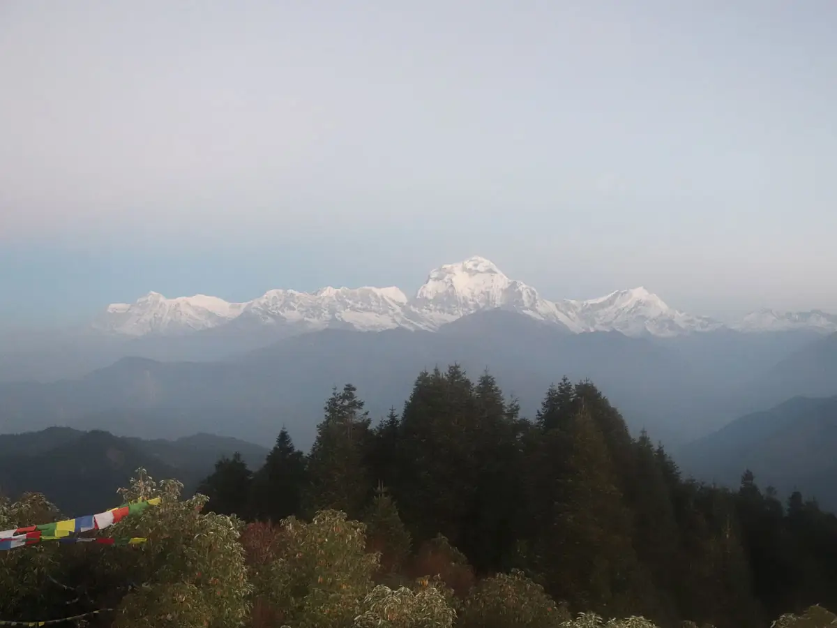 Dhaulagiri View from Poon Hill