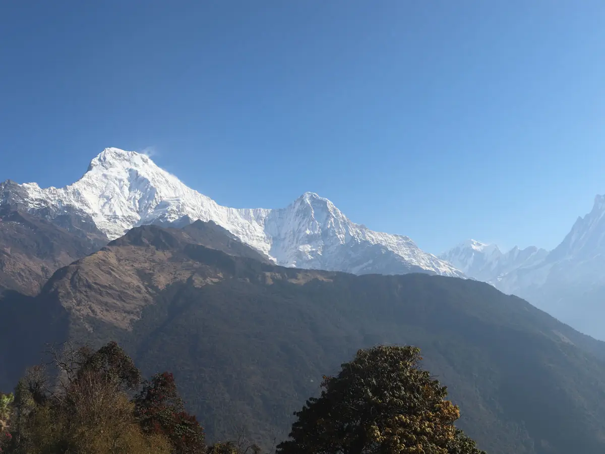Himalaya view from Tadapani