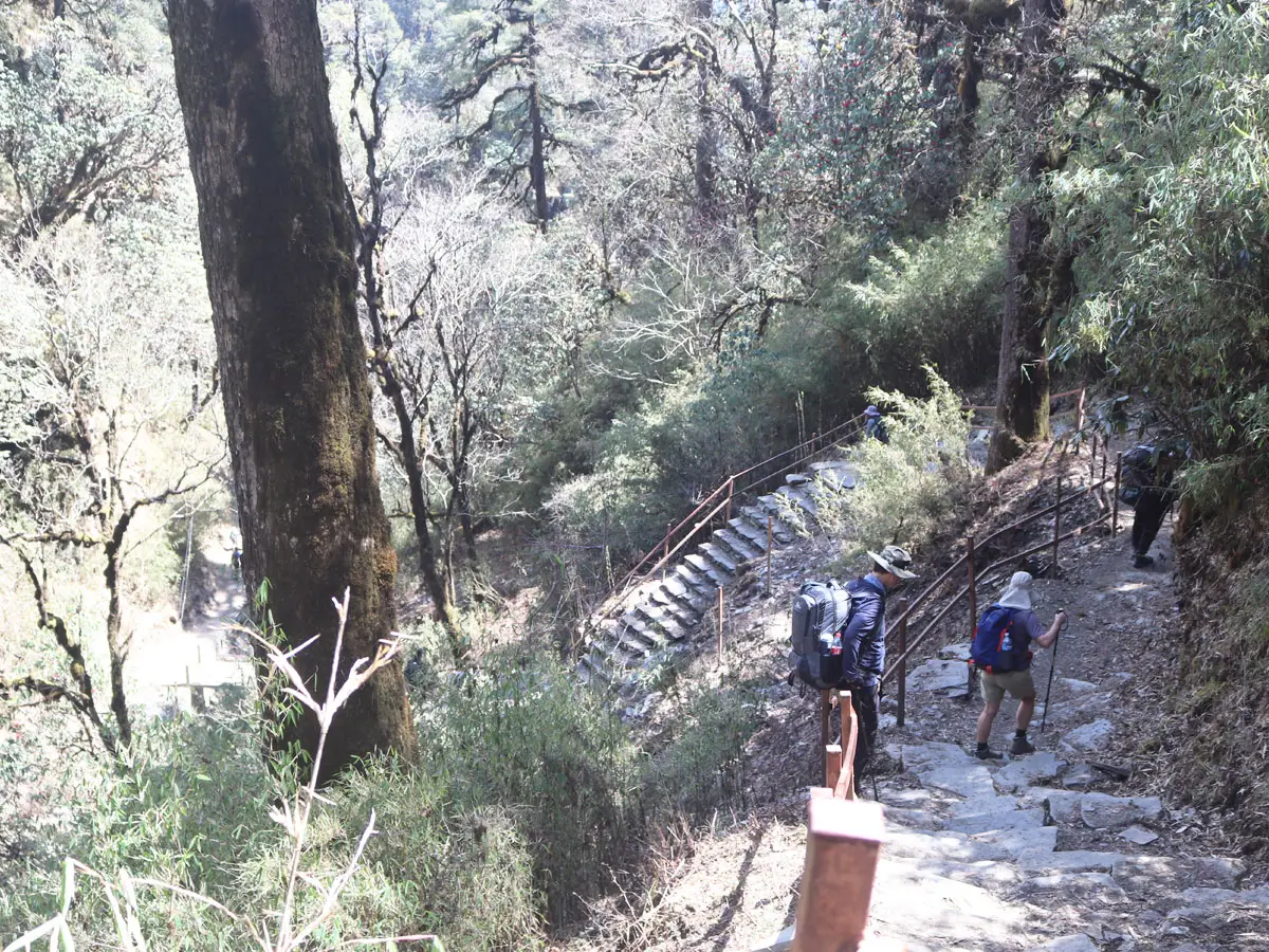 Ghorepani Poon Hill Trail