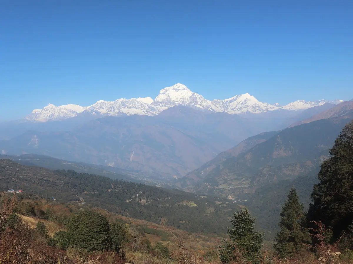 Himalaya View on Ghorepani -Poon Hill Trek
