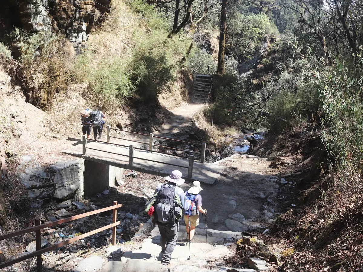 Ghorepani-Poon Hill Trail