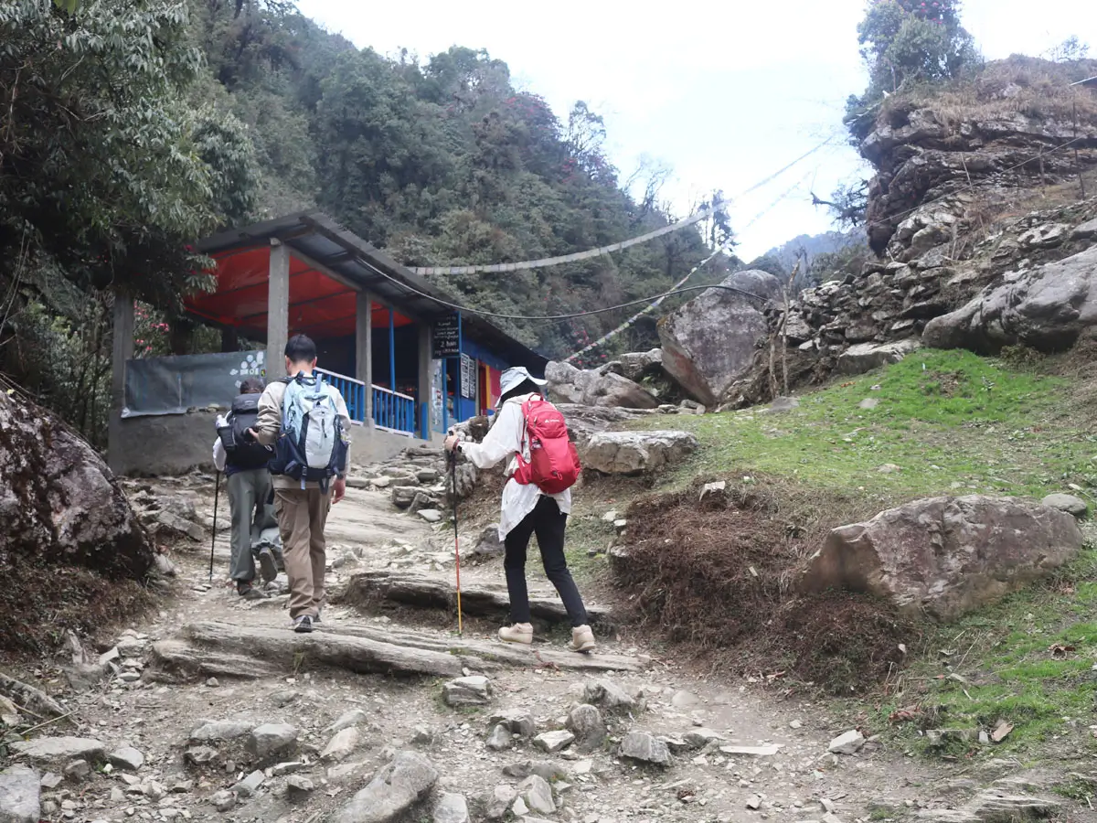 Walking towards Ghorepani