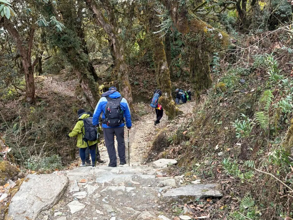 Ghorepani-Poon Hill Trail