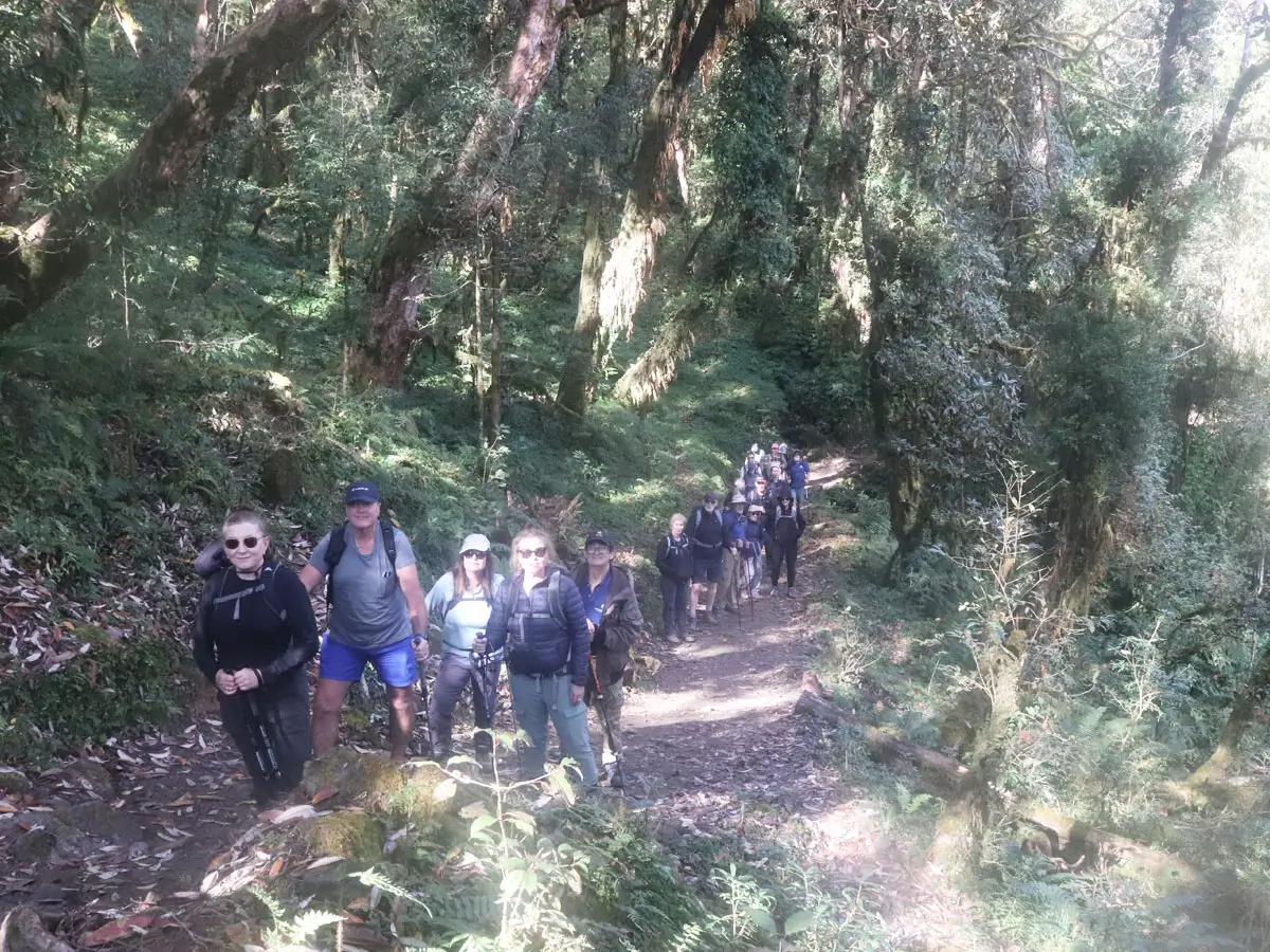 Trekkers on Poon hill Trail