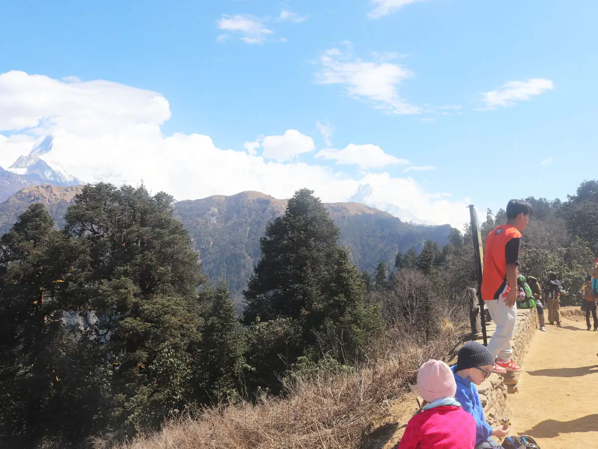 Ghorepani-poon hill Trekking trail